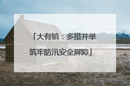 大有镇：多措并举筑牢防汛安全屏障
