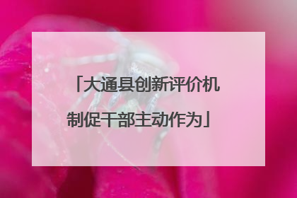 大通县创新评价机制促干部主动作为