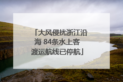 大风侵扰浙江沿海 84条水上客渡运航线已停航
