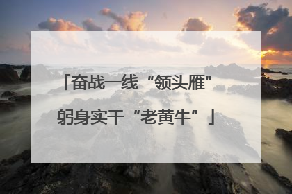 奋战一线“领头雁” 躬身实干“老黄牛”