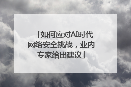 如何应对AI时代网络安全挑战，业内专家给出建议
