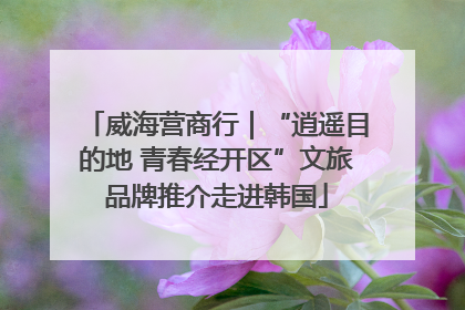 威海营商行｜“逍遥目的地 青春经开区”文旅品牌推介走进韩国