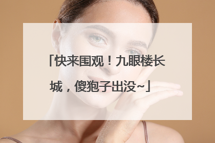 快来围观！九眼楼长城，傻狍子出没~