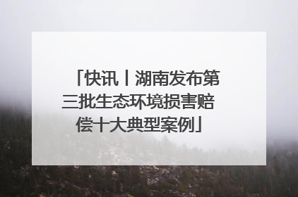 快讯丨湖南发布第三批生态环境损害赔偿十大典型案例