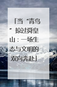 当“青鸟”掠过舜皇山：一场生态与文明的双向奔赴