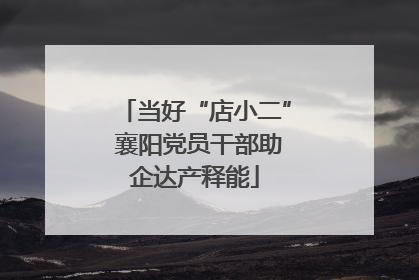 当好“店小二” 襄阳党员干部助企达产释能