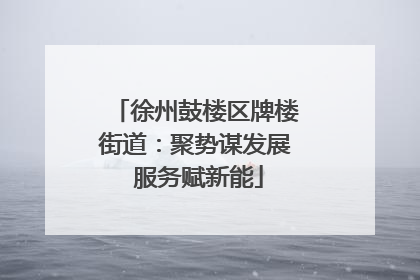 徐州鼓楼区牌楼街道：聚势谋发展 服务赋新能