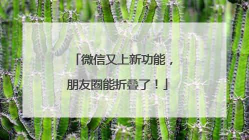 微信又上新功能，朋友圈能折叠了！