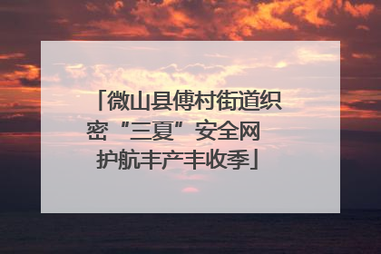 微山县傅村街道织密“三夏”安全网 护航丰产丰收季
