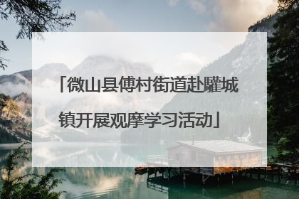 微山县傅村街道赴驩城镇开展观摩学习活动