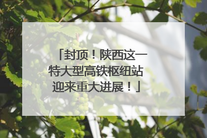 封顶！陕西这一特大型高铁枢纽站迎来重大进展！