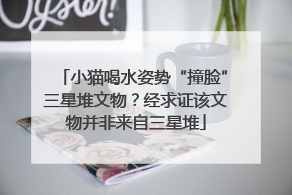 小猫喝水姿势“撞脸”三星堆文物？经求证该文物并非来自三星堆
