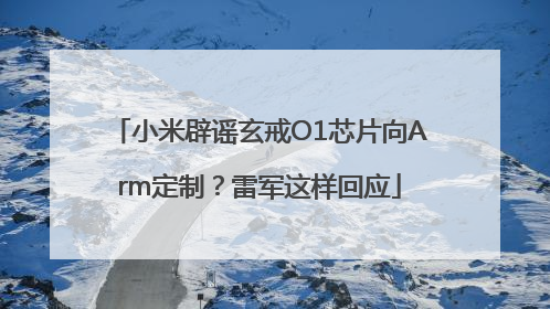 小米辟谣玄戒O1芯片向Arm定制？雷军这样回应
