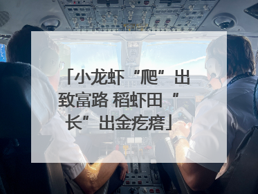 小龙虾“爬”出致富路 稻虾田“长”出金疙瘩
