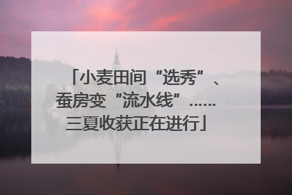 小麦田间“选秀”、蚕房变“流水线”……三夏收获正在进行