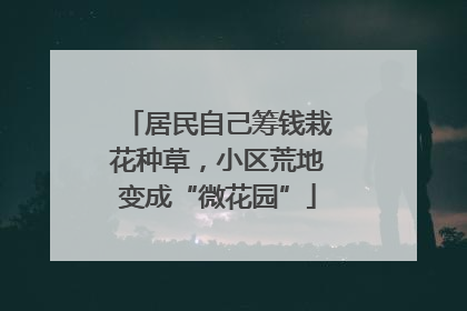 居民自己筹钱栽花种草，小区荒地变成“微花园”