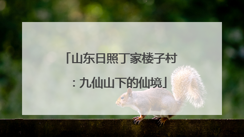 山东日照丁家楼子村：九仙山下的仙境