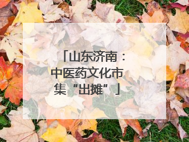 山东济南：中医药文化市集“出摊”