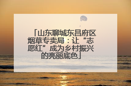 山东聊城东昌府区烟草专卖局：让“志愿红”成为乡村振兴的亮丽底色