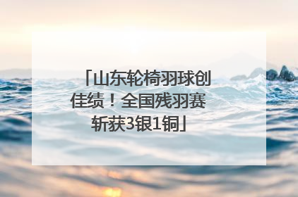 山东轮椅羽球创佳绩！全国残羽赛斩获3银1铜