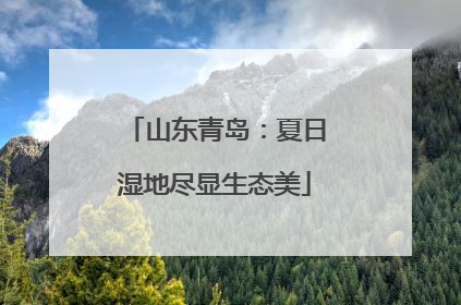山东青岛：夏日湿地尽显生态美