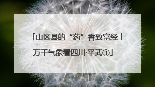 山区县的“药”香致富经丨万千气象看四川·平武③