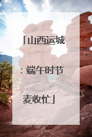 山西运城：端午时节麦收忙