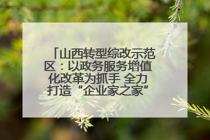山西转型综改示范区：以政务服务增值化改革为抓手 全力打造“企业家之家”贴心服务体系
