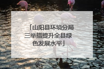 山阳县环境分局三举措提升全县绿色发展水平