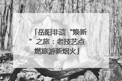 岳阳非遗“焕新”之旅：老技艺点燃旅游新烟火