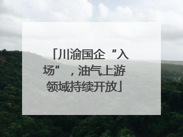 川渝国企“入场”，油气上游领域持续开放