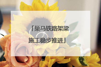 巢马铁路架梁施工稳步推进