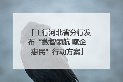 工行河北省分行发布“数智领航 赋企惠民”行动方案
