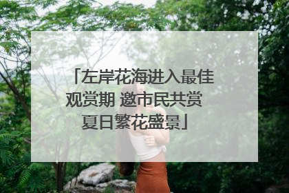左岸花海进入最佳观赏期 邀市民共赏夏日繁花盛景