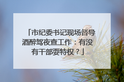 市纪委书记现场督导酒醉驾夜查工作：有没有干部耍特权？