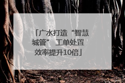 广水打造“智慧城管” 工单处置效率提升10倍