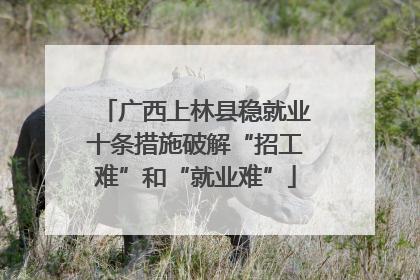 广西上林县稳就业十条措施破解“招工难”和“就业难”