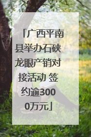 广西平南县举办石硖龙眼产销对接活动 签约逾3000万元