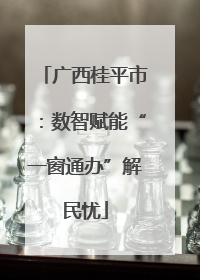 广西桂平市：数智赋能“一窗通办”解民忧