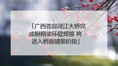 广西苍容浔江大桥完成钢箱梁环缝焊接 将进入桥面铺装阶段
