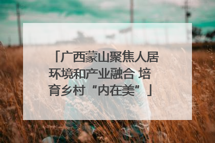 广西蒙山聚焦人居环境和产业融合 培育乡村“内在美”