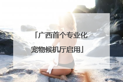 广西首个专业化宠物候机厅启用