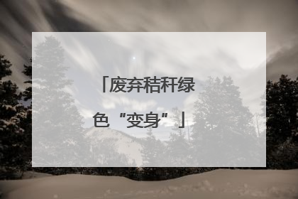 废弃秸秆绿色“变身”