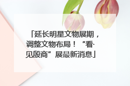 延长明星文物展期，调整文物布局！“看·见殷商”展最新消息