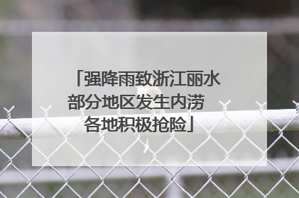 强降雨致浙江丽水部分地区发生内涝 各地积极抢险