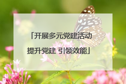 开展多元党建活动 提升党建 引领效能