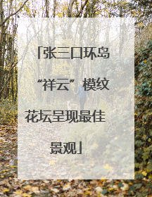 张三口环岛“祥云”模纹花坛呈现最佳景观