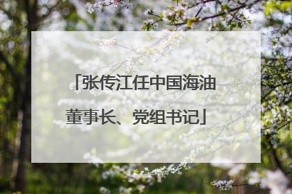 张传江任中国海油董事长、党组书记