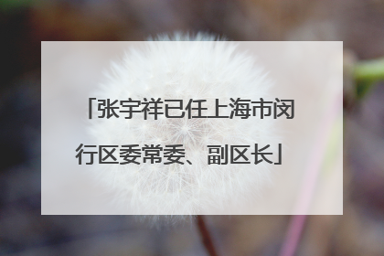 张宇祥已任上海市闵行区委常委、副区长