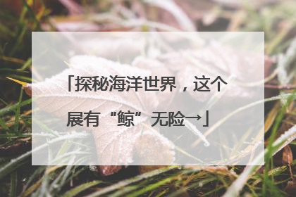 探秘海洋世界，这个展有“鲸”无险→